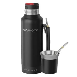 Termo Eléctrico T-mate 1 Litro Tapa Mate Y Bombilla Color Negro